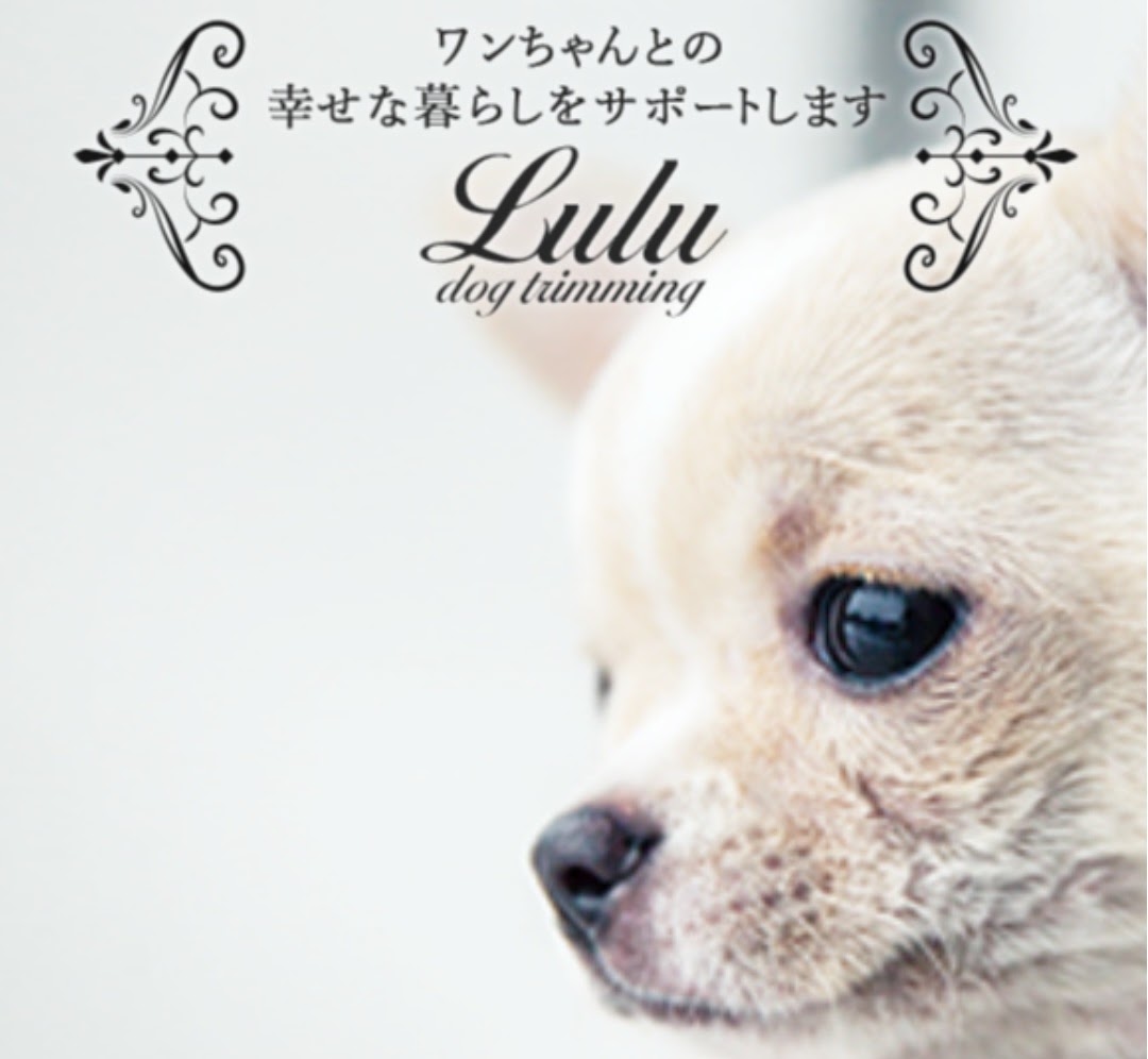 Lulu dog trimming 元住吉本店