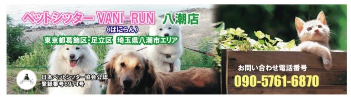 ペットシッター VANI-RUN（ばにらん）