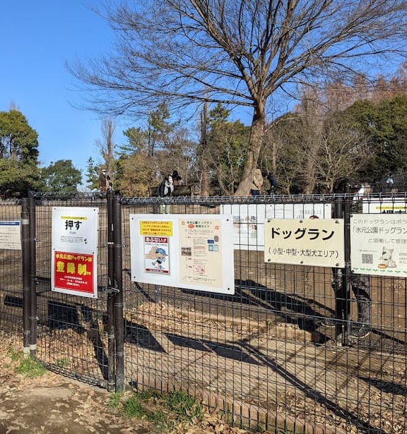 水元公園ドッグラン