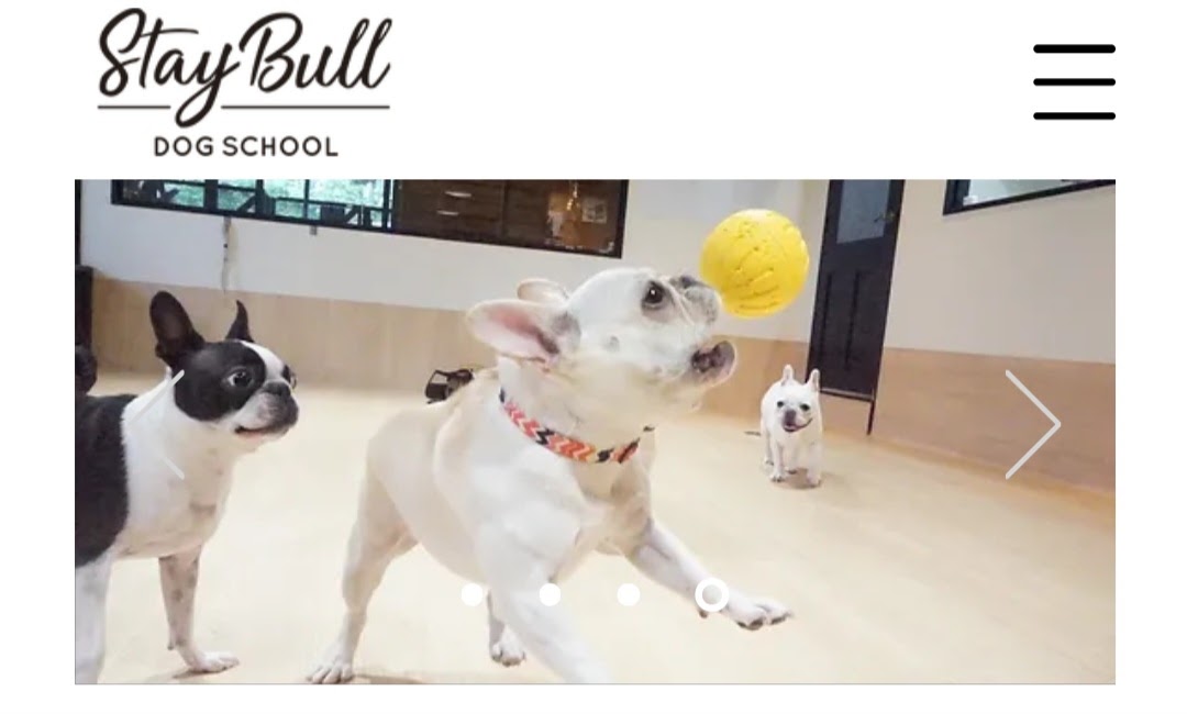 StayBull