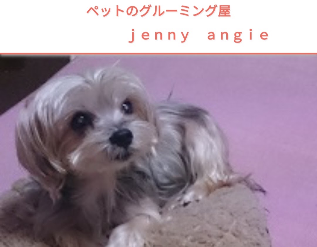 ペットのグルーミング屋 jenny angie