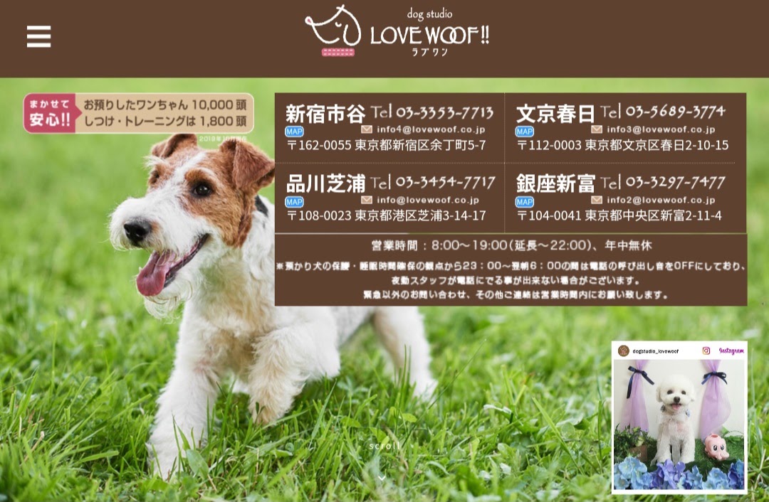 dog studio LOVE WOOF!!（ラブワン）