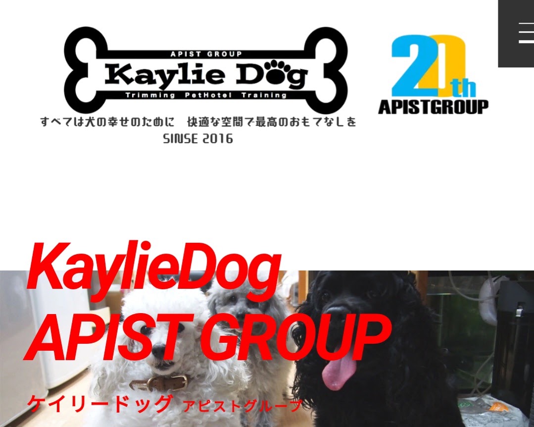 APIST KaylieDog（ケイリードッグ）