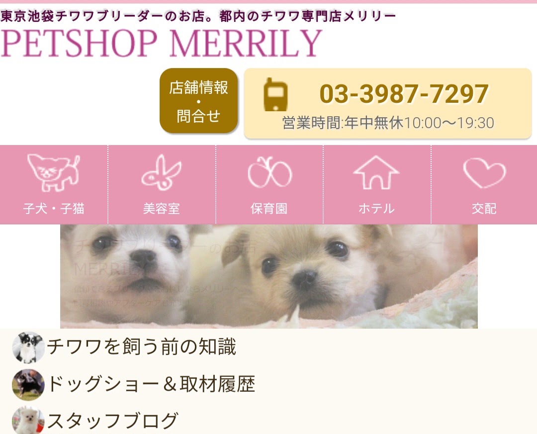 メリリー（PETSHOP MERRILY）