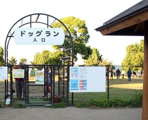 城南島海浜公園 つばさドッグラン