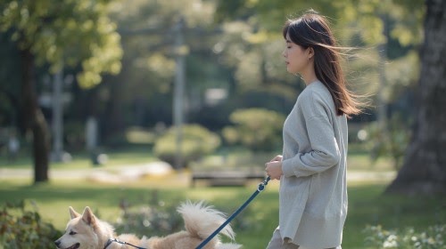 Cosewa 犬の散歩