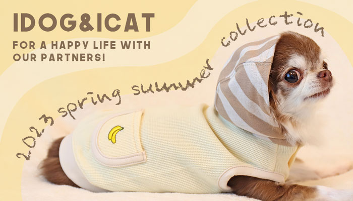 IDOG＆ICAT