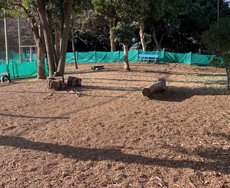 入船公園ドッグラン