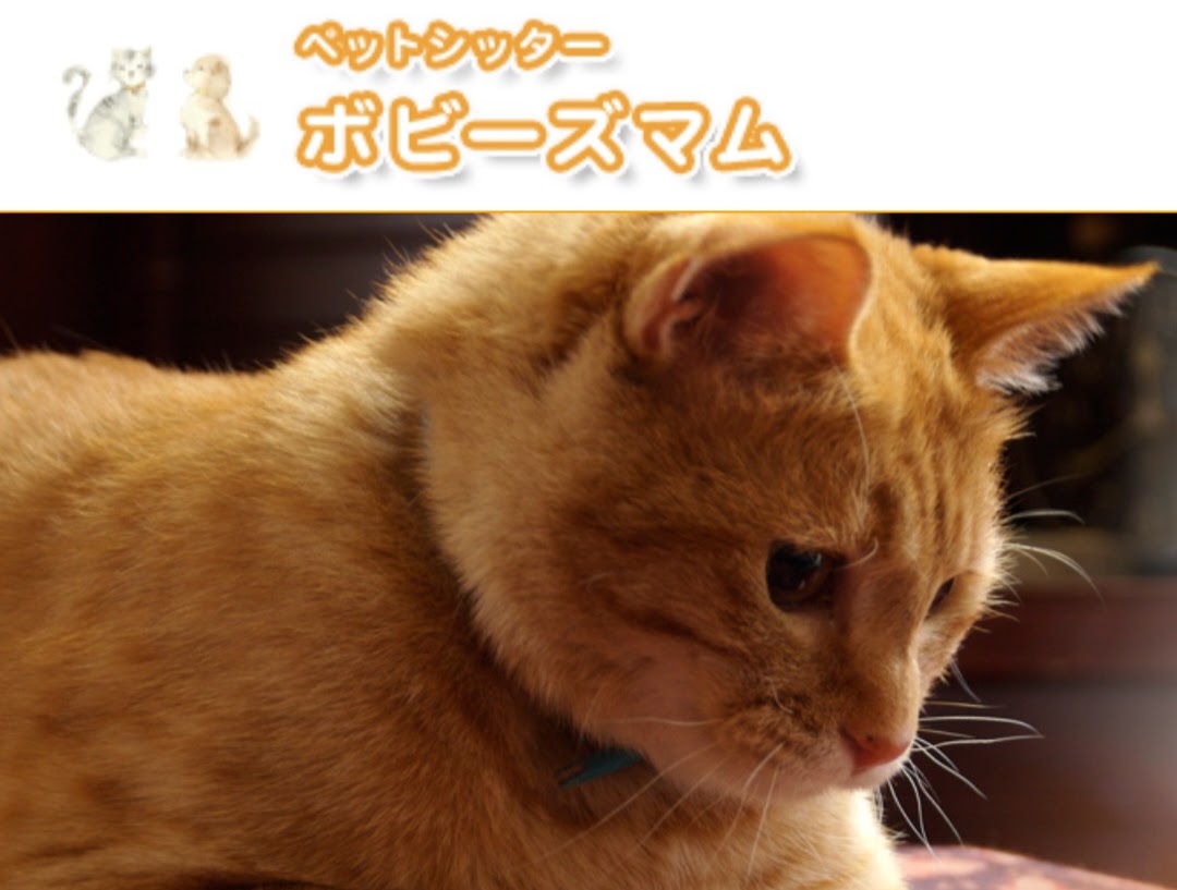ペットシッターボビーズマム