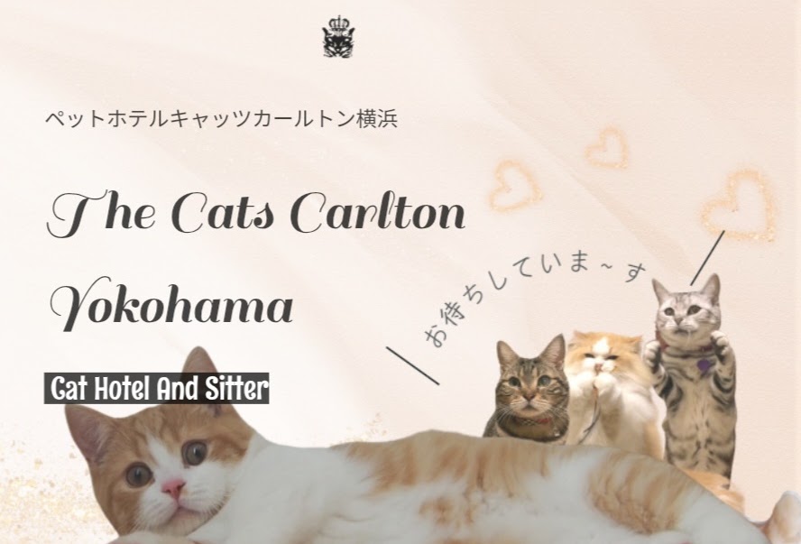 The Cats Carlton キャッツカールトン
