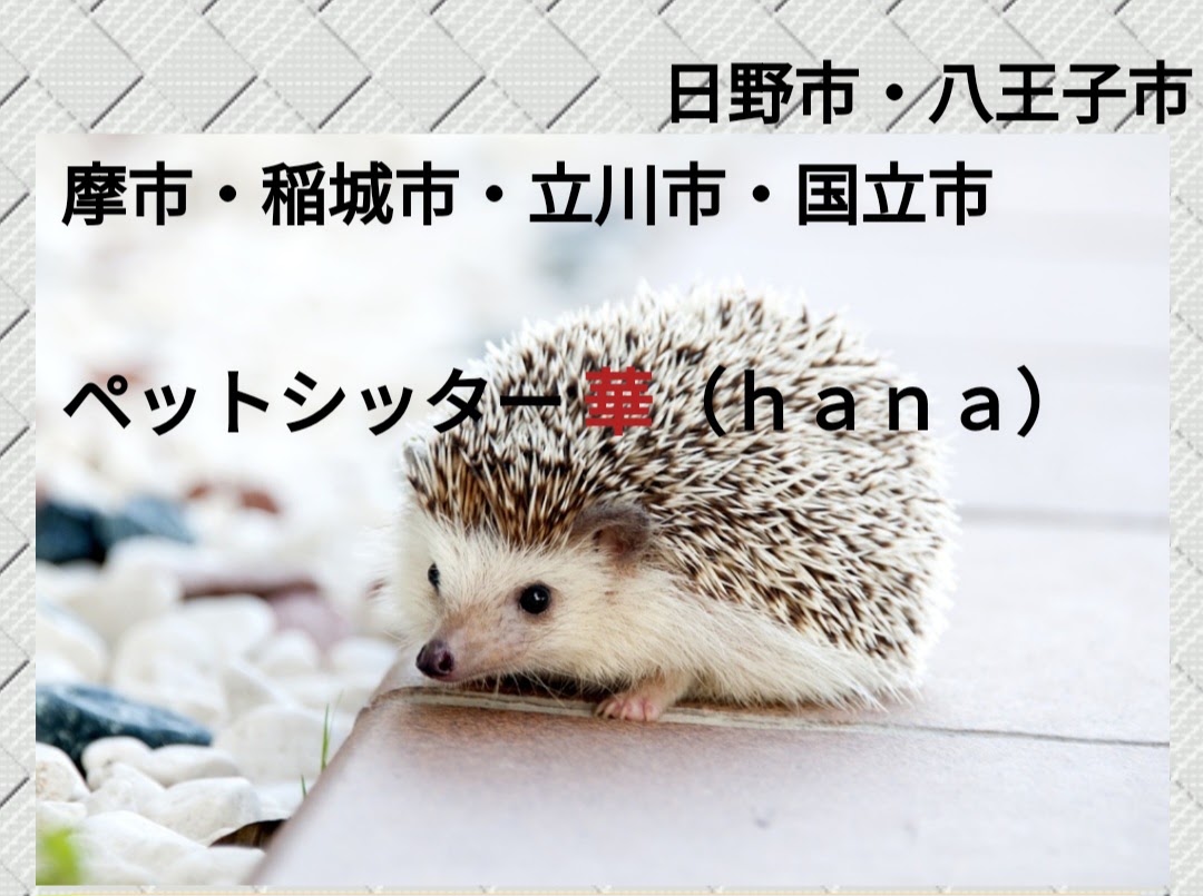 ペットシッター華（hana）