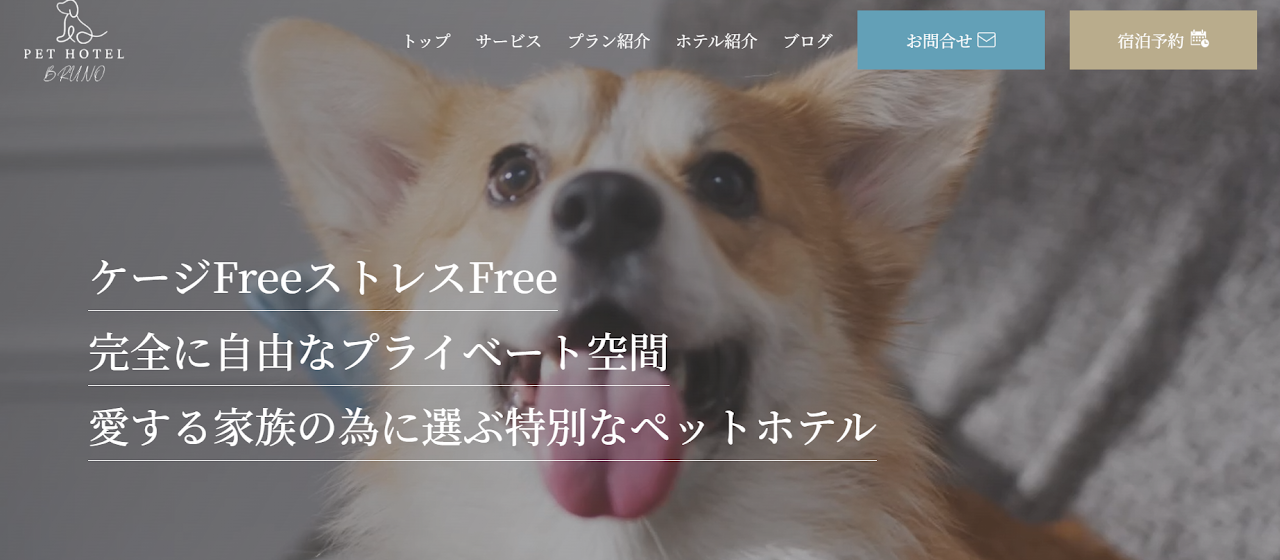 PET HOTEL BRUNO