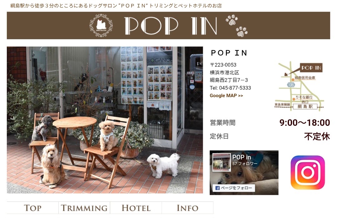 POP IN