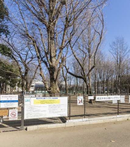 城北中央公園ドッグラン