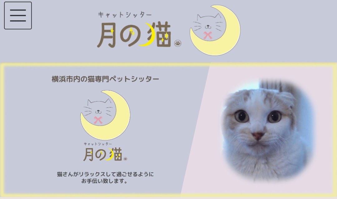 キャットシッター 月の猫