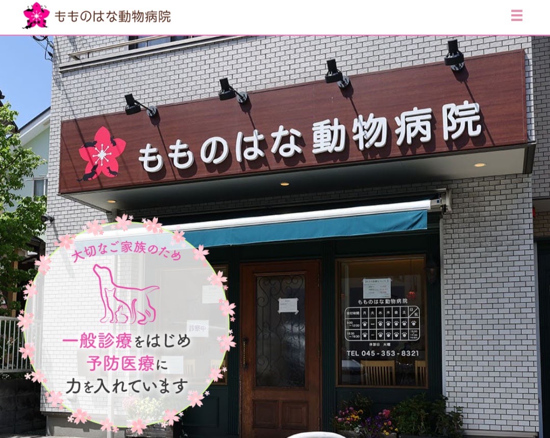 もものはな動物病院