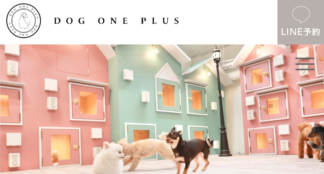 DOG ONE PLUS 代官山店