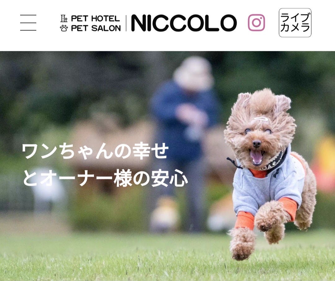 ニッコロ