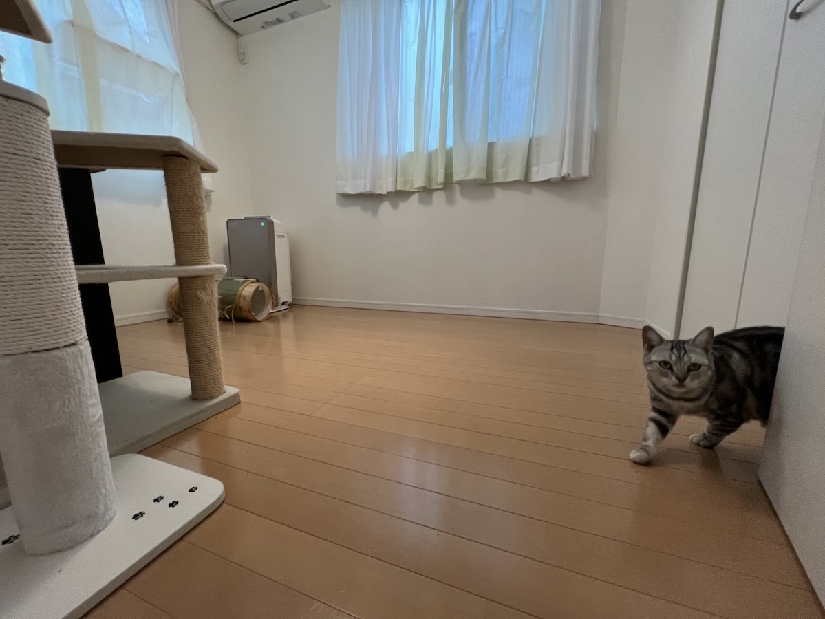 キャッツカールトン横浜 部屋