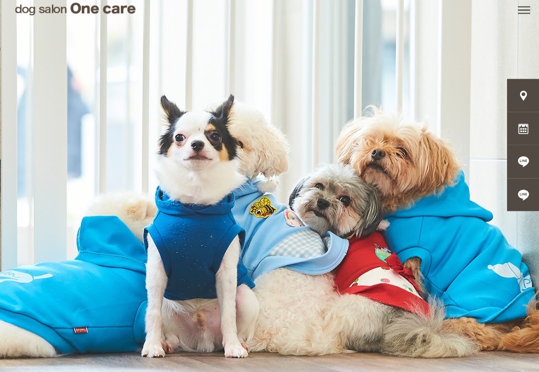 dog salon One care（ワンケア）