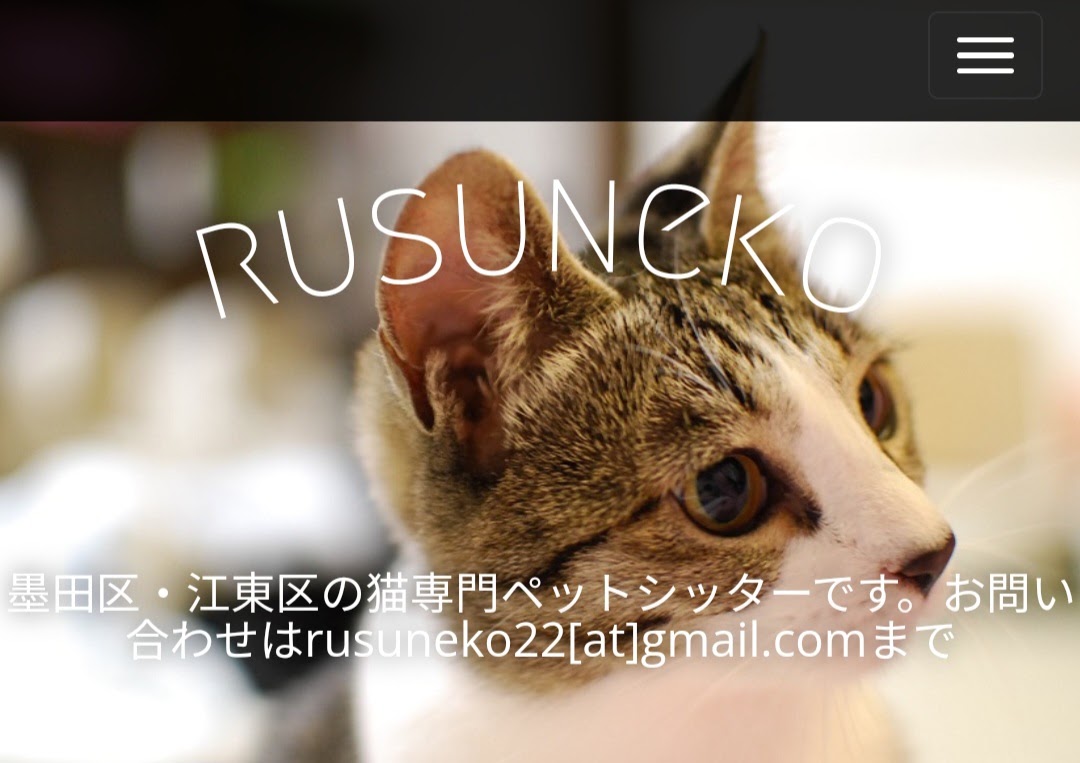 キャットシッターるす猫