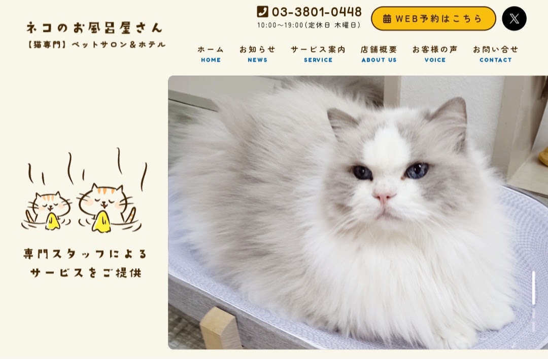 ネコのお風呂屋さん