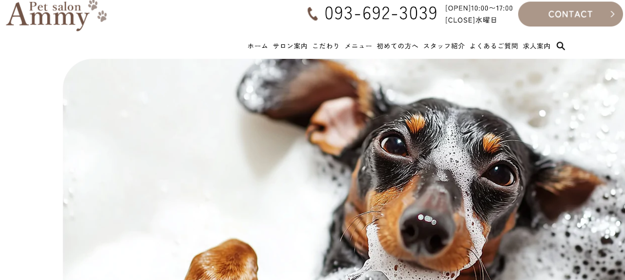 Pet salon Ammy（アミィ）