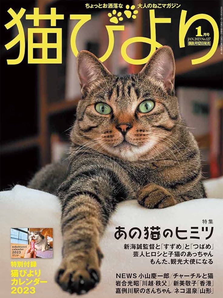 猫びより