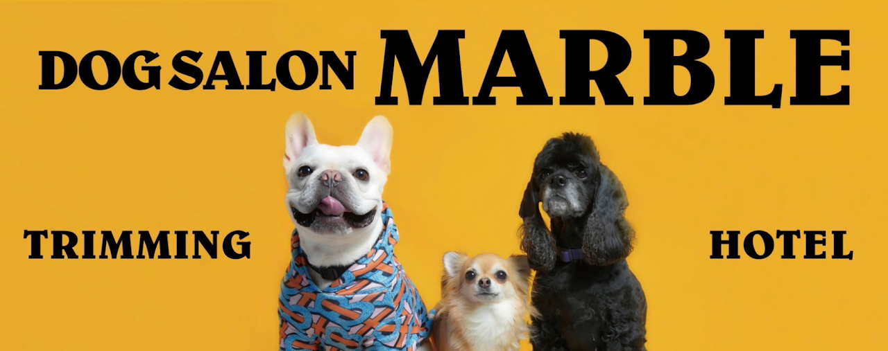 Dog Salon Marble