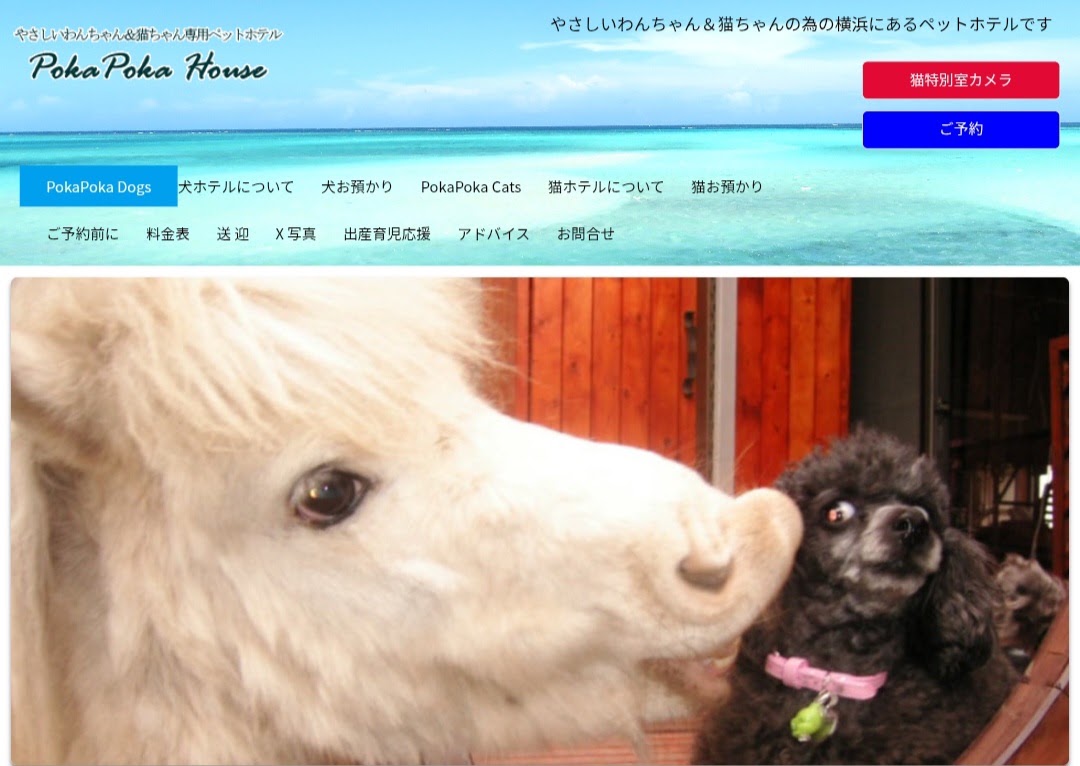 ペットホテル ぽかぽかはうす