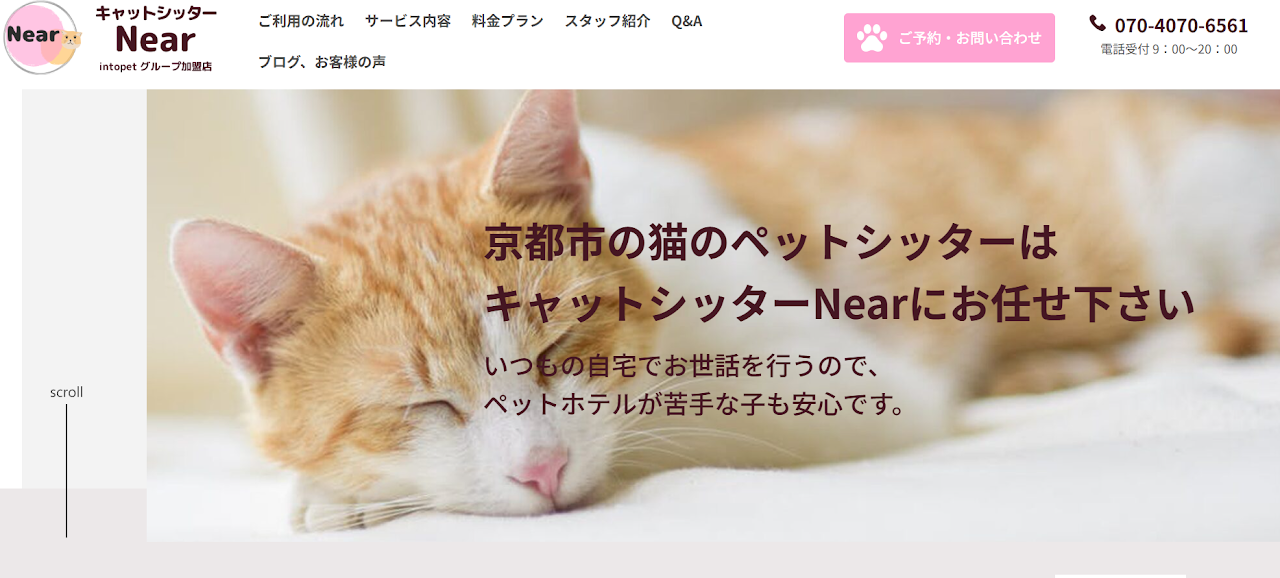 キャットシッターNear