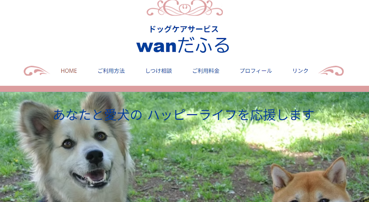 wanだふる