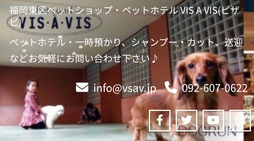  Petland VIS A VIS （ペットランド ビザビ）
