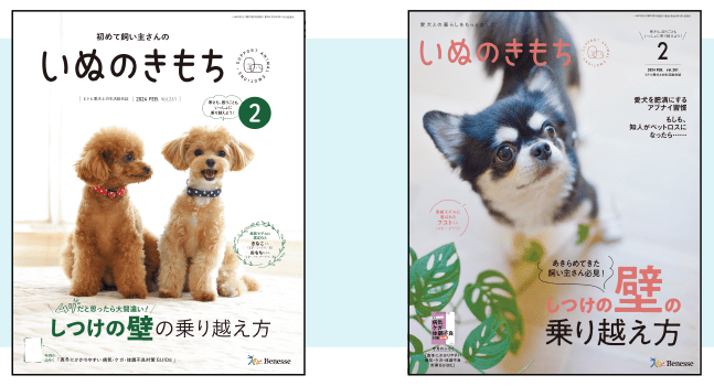 いぬのきもち