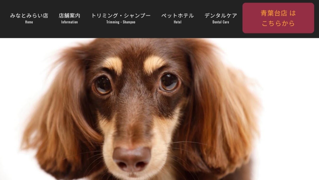 みなとみらいワンワンハウス
