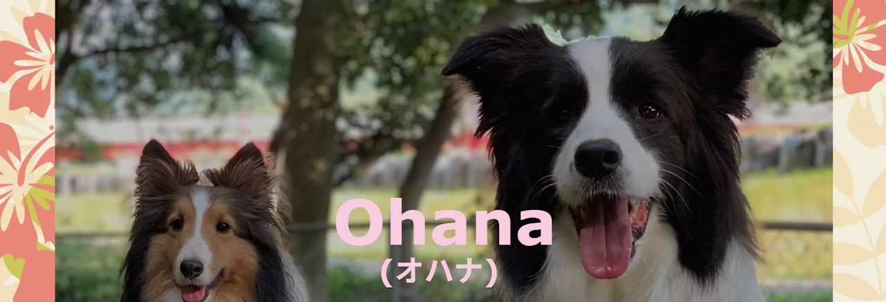 ​Ohana（オハナ）