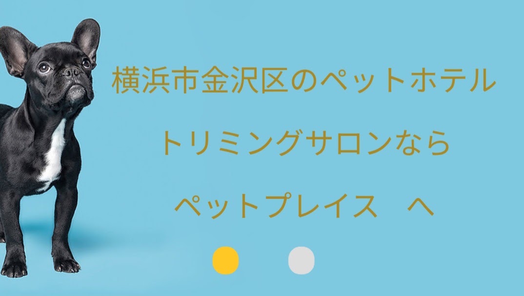 PET PLACE（ペットプレイス）