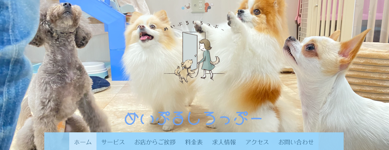 めいぷるしろっぷー