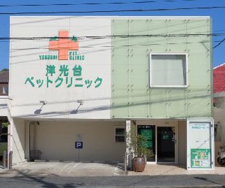 洋光台ペットクリニック