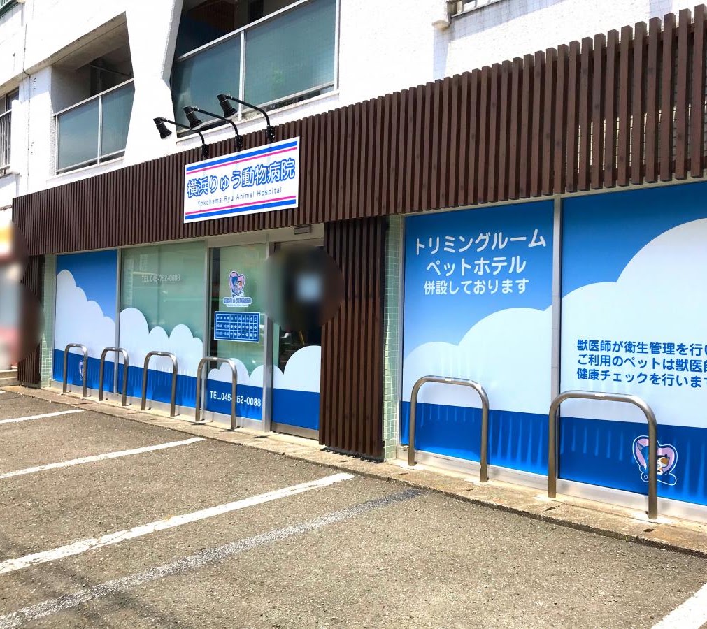 横浜りゅう動物病院