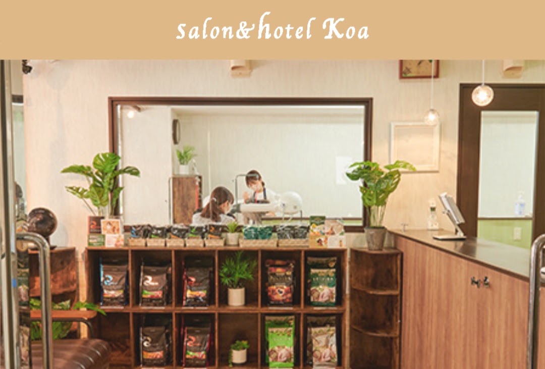 Koa salon&hotel