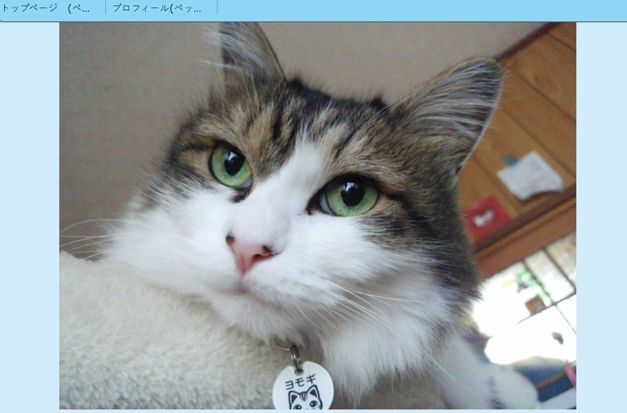 ペットシッタージラヴィ