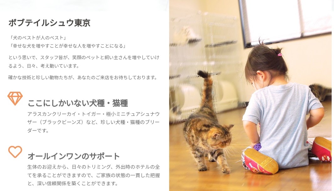 ボブテイルシュウ東京
