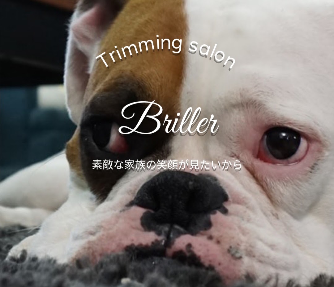 トリミングサロン Briller（ブリエ）