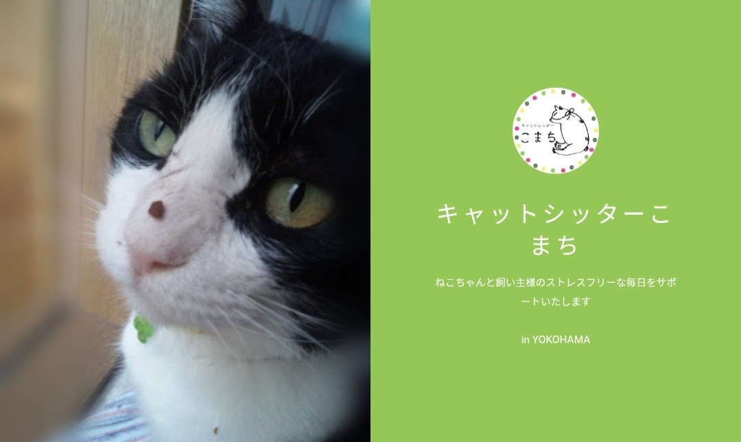 キャットシッター こまち