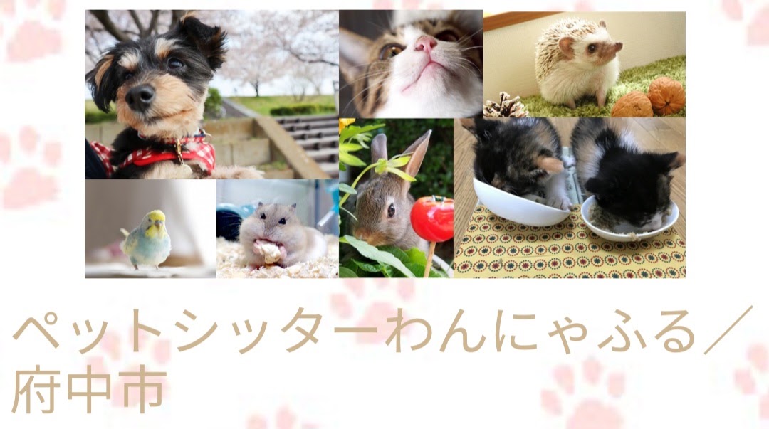 ペットシッターわんにゃふる