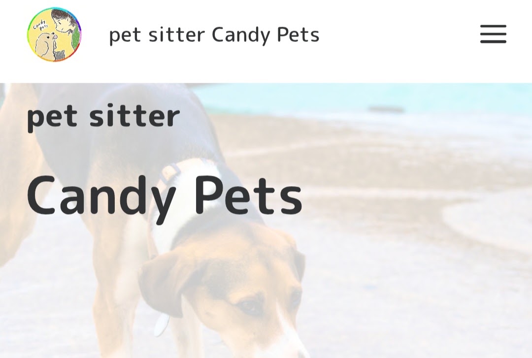 pet sitter Candy Pets
