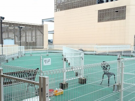 ペット医療センター トレッサ横浜病院