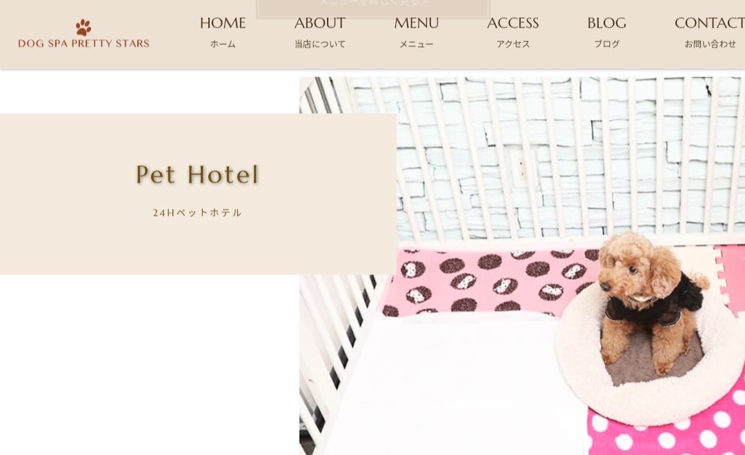 DOG SPA PRETTY STARS（ドッグスパプリティースターズ）