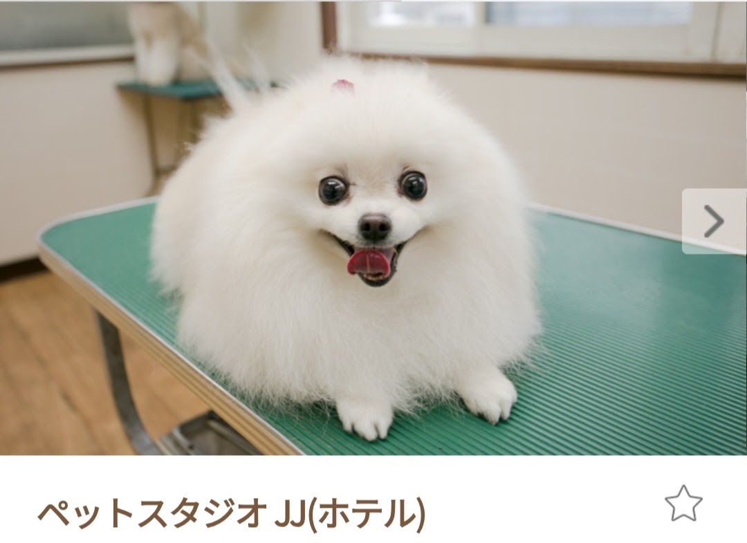 ペットスタジオ JJ（ジェイジェイ）